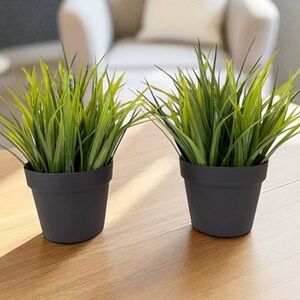 Green grass faux Plant in Black Pot - Set of 2